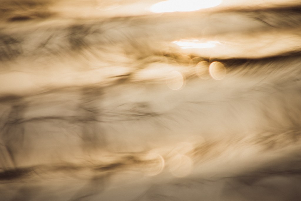 Mutmoment (7) – Wo ist der Mut&nbsp;geblieben?