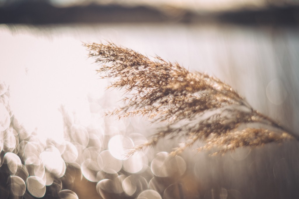 Mutmoment (6) – Wenn das Ziel&nbsp;verschwimmt