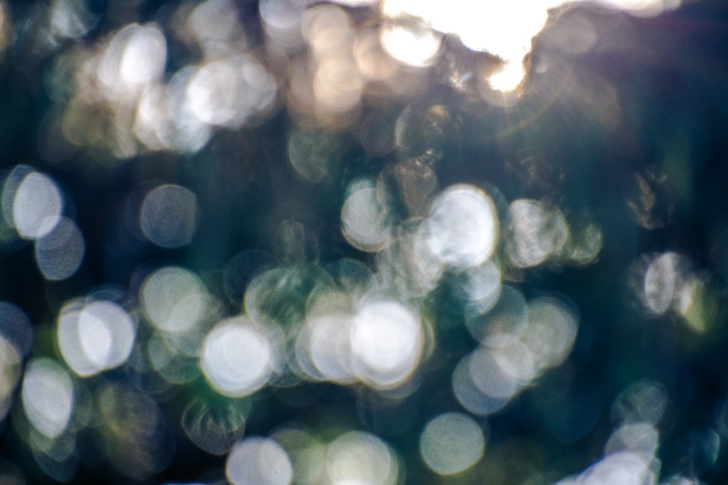 Befindlichkeitsfixiert: Auf der Suche nach der Essenz meiner&nbsp;Persönlichkeit