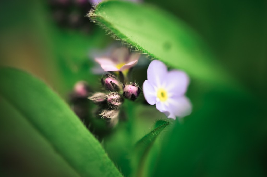 Mutmoment (5): Gestatten?&nbsp;Narzisstenkind.
