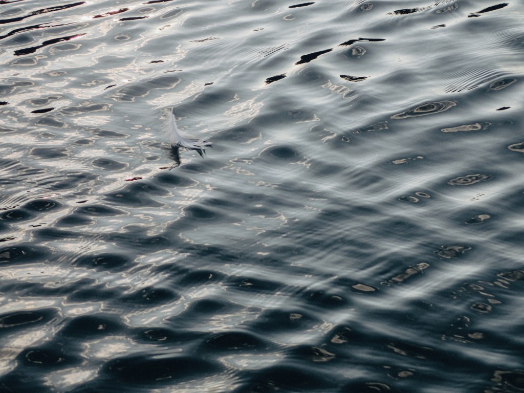 Mutmoment (8) – Every summer has its&nbsp;story