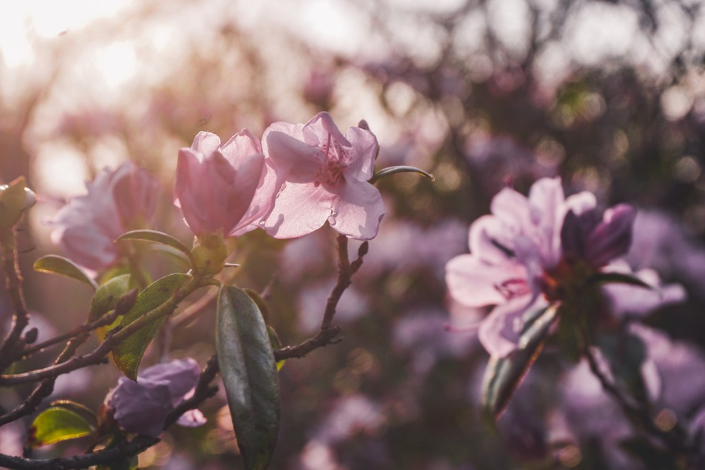 Atemberauschend (3): Mitten im tiefsten Winter wurde mir endlich bewusst, dass in mir ein unbesiegbarer Sommer&nbsp;wohnt.