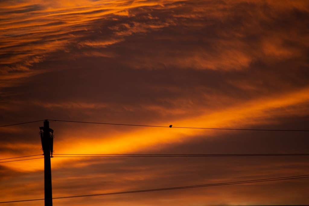 Zyankalitage (6): Pandora oder flatten the&nbsp;curve