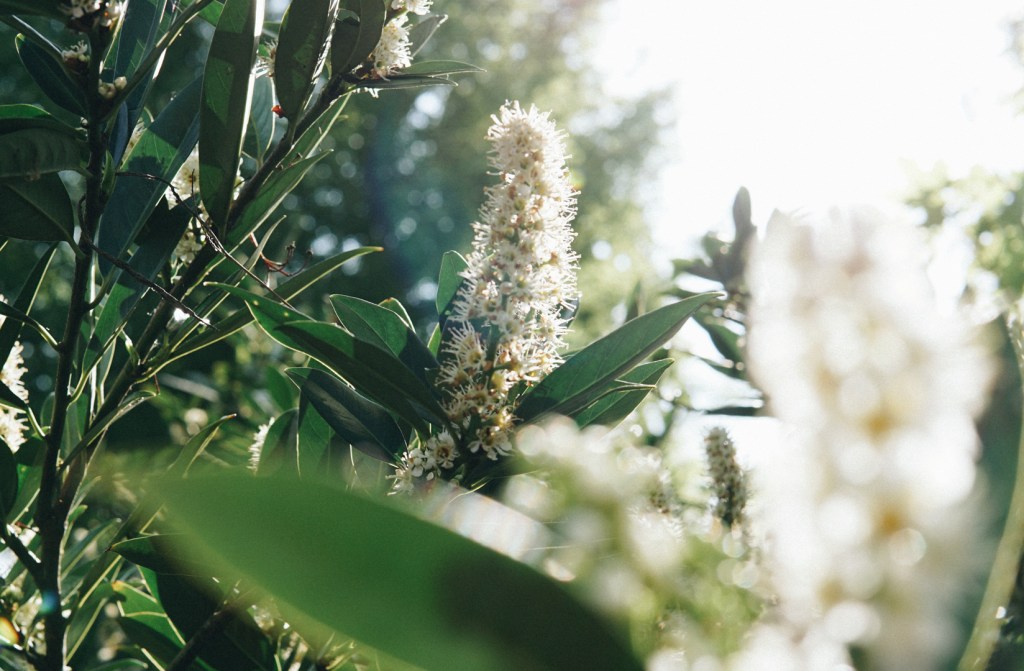 Atemberauschend (4): Alles neu macht der&nbsp;Mai?