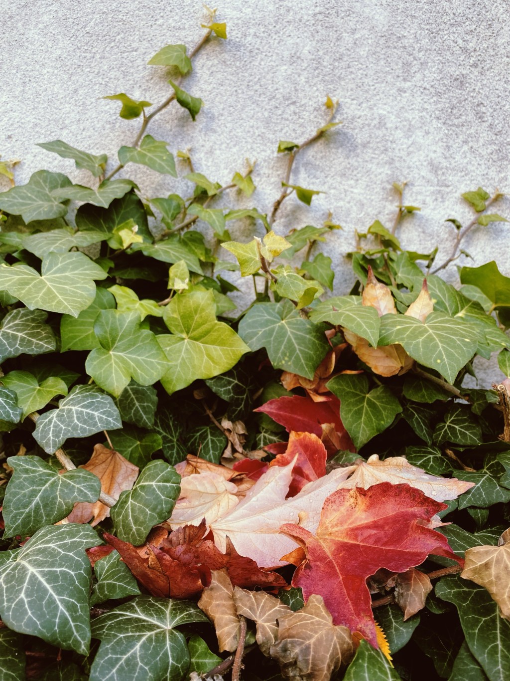 Das Steinchen der&nbsp;Relation.