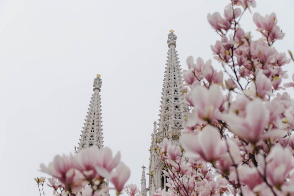 Atemberauschend (6): Ein Ausblick auf bald (Wiener&nbsp;Frühling)