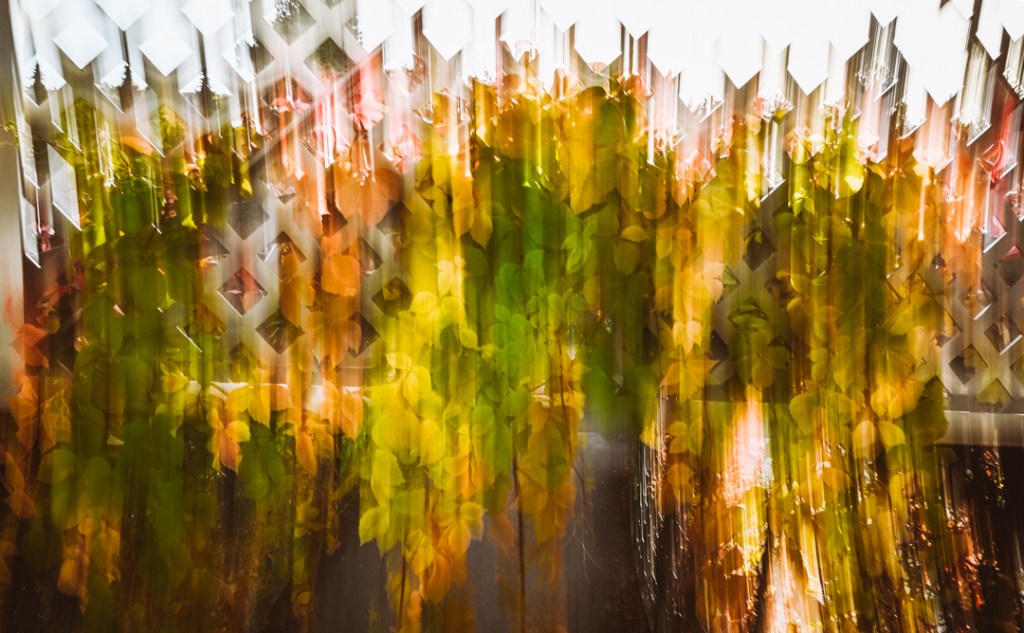 Remember, you are&nbsp;one!