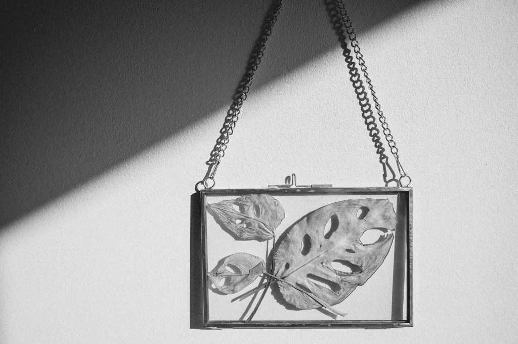 2025: der alljährliche&nbsp;Endspurt